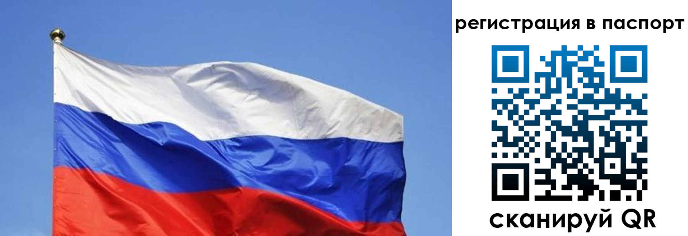 прописка в квартире в Галиче